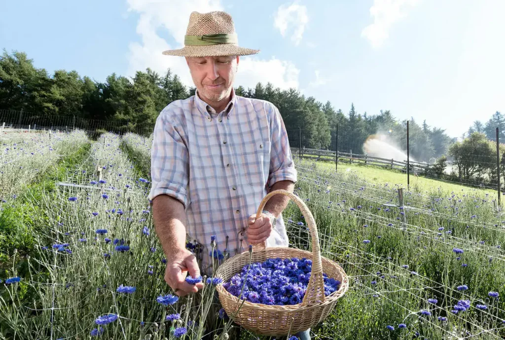 5 modi per scoprire il piacere della sostenibilità con le tisane biologiche